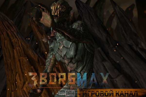 Kraken official