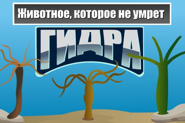 Kraken даркнет рынок ссылка